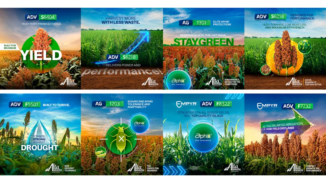 ALTA SEEDS · ESTADOS UNIDOS — Key visuals internacionais | Terramarca