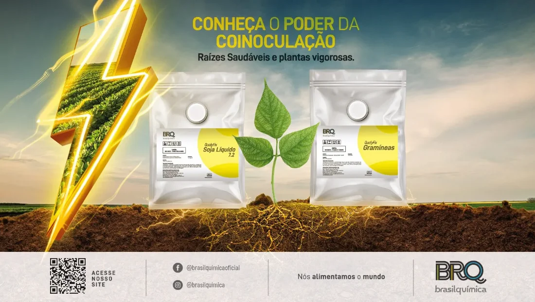 BRQ Brasilquímica — QualyFix · Campo & Negócios