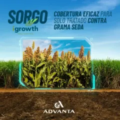 Terramarca — campanha ADVANTA