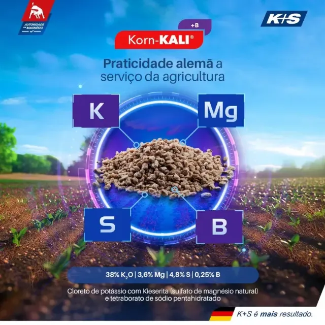 Terramarca — K+S: Korn-KALI, praticidade alemã a serviço da agricultura.
